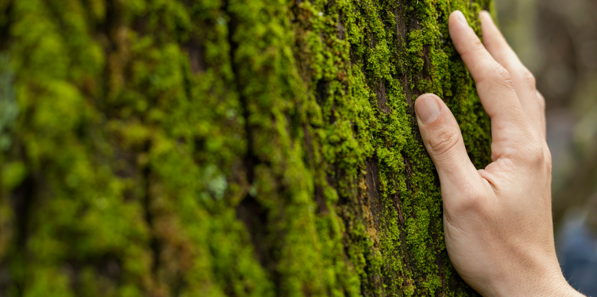 descarbonizacao industria pme Somma Energia e Consultoria